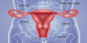 نیشانە باوەکانی کێشەی منداڵدان چین؟